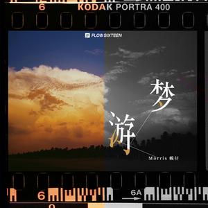 提高协作小狼导航
