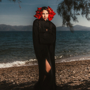 提高协作小狼导航
