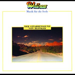 提高协作小狼导航
