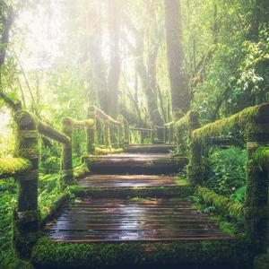 提高协作小狼导航
