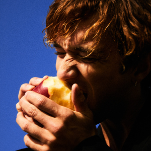 提高协作小狼导航
